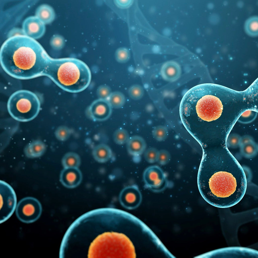 Nanotechnology in supplements, a new hope in the fight against cancer