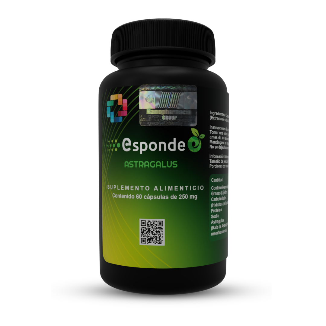 Esponde